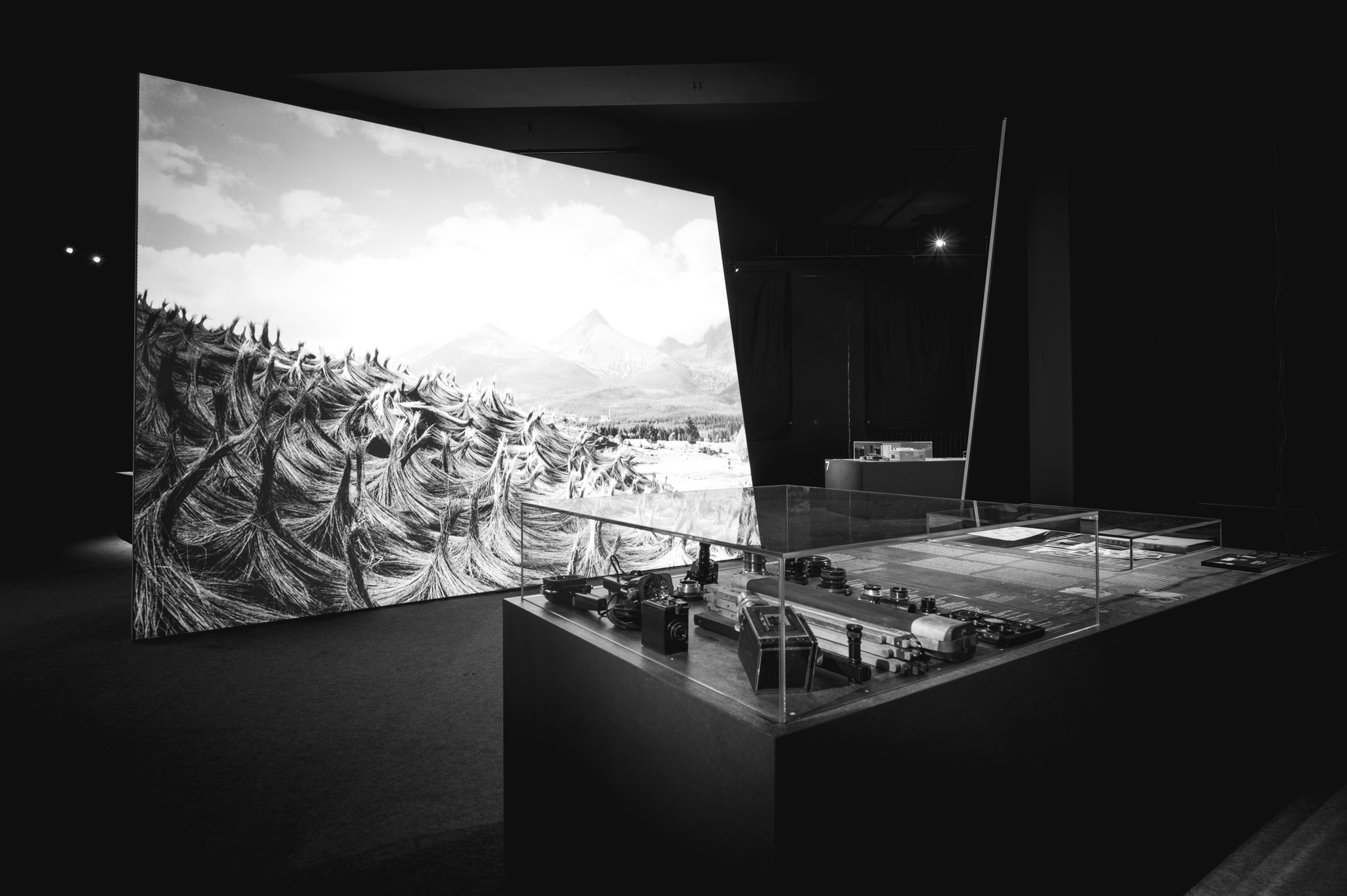 NZ6 2308 DxO DeepPRIME XD2s